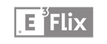 Analitica Pro: Logotipo E3FLIX